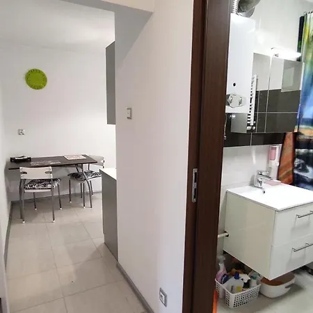 W Centrum Miasta Przy Jasnej Gorze Apartment Czestochowa
